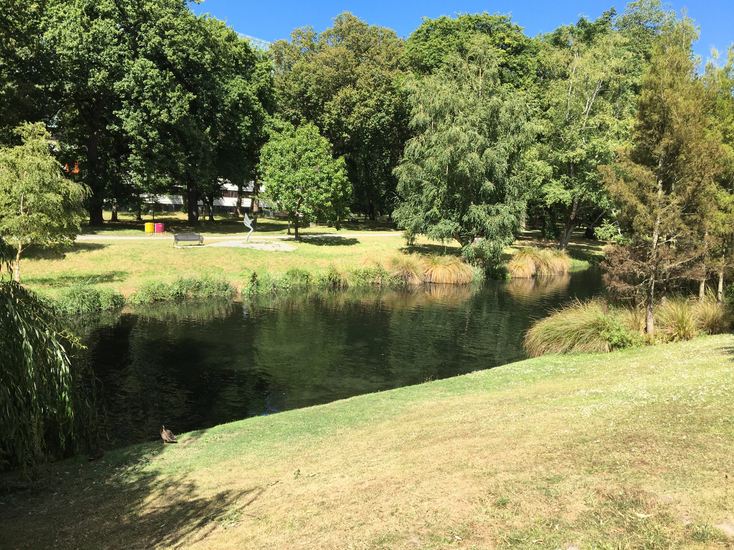 Avon River Christchurch Botannical Gardens