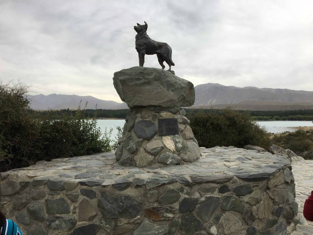 Tekapo-Collie-Dog-Monument, NZ